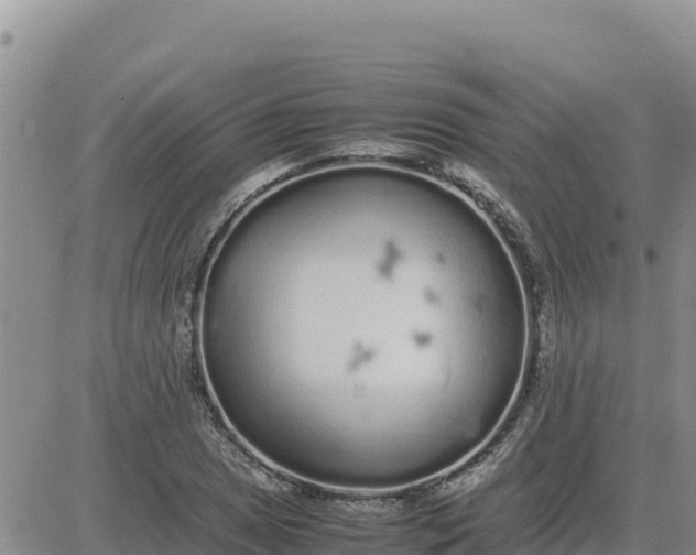 X0000080681025200612301419