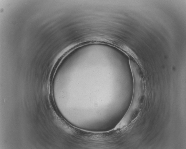 X0000080681028200612301419