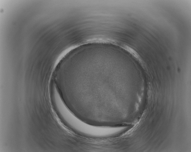 X0000080681030200612301419