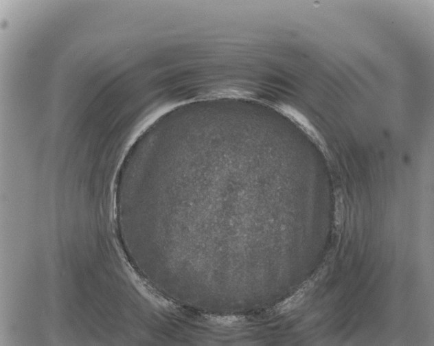 X0000080681031200612301419