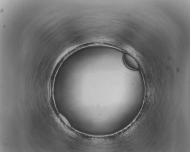 X0000080681032200612301420