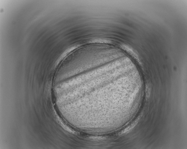 X0000080681033200612301420