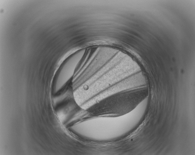 X0000080681034200612301420