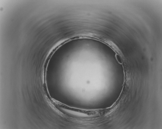 X0000080681036200612301420