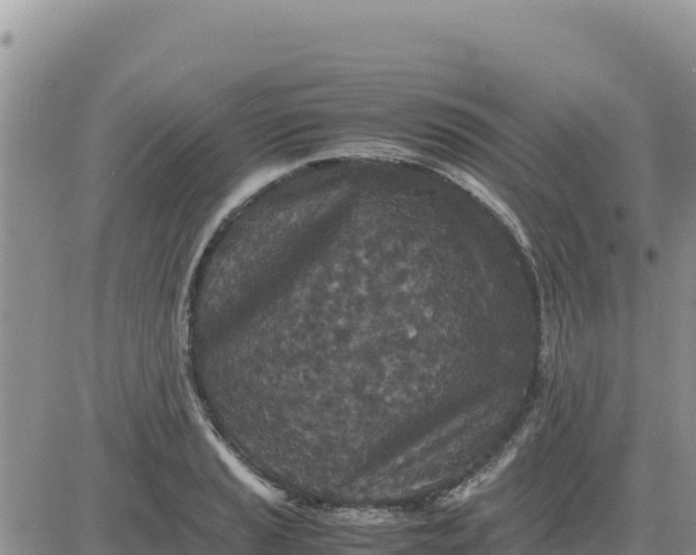 X0000080681037200612301420