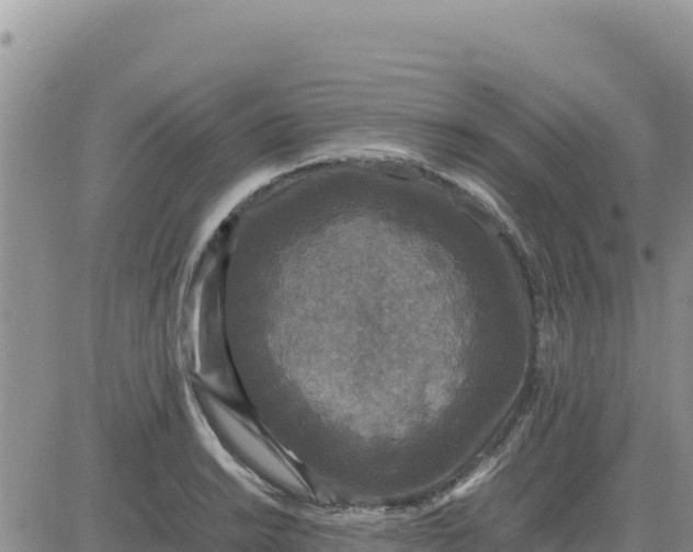 X0000080681038200612301420