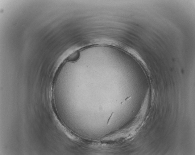 X0000080681040200612301420