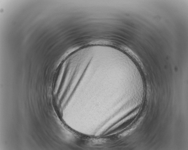 X0000080681041200612301420