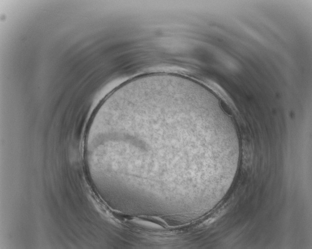 X0000080681044200612301420