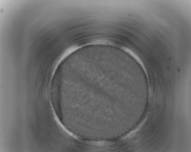 X0000080681045200612301420