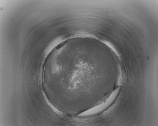 X0000080681046200612301420