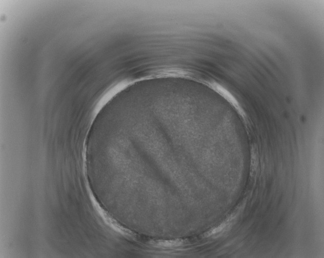 X0000080681047200612301420