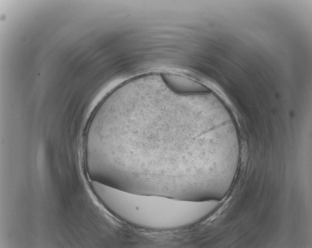 X0000080681048200612301420