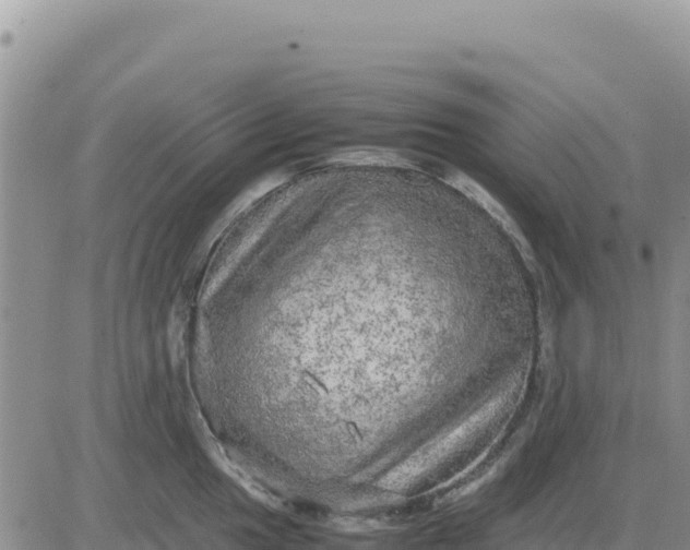 X0000080681049200612301420