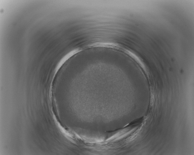 X0000080681050200612301420