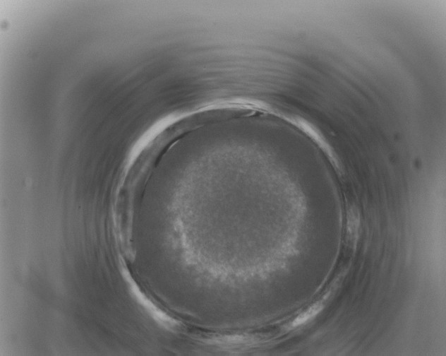 X0000080681054200612301420