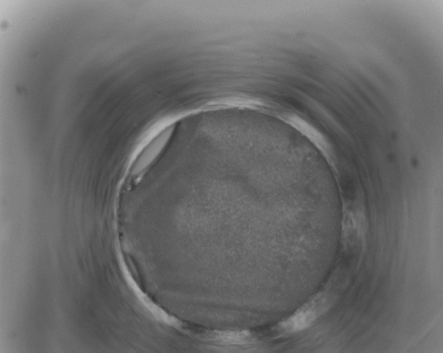 X0000080681055200612301420