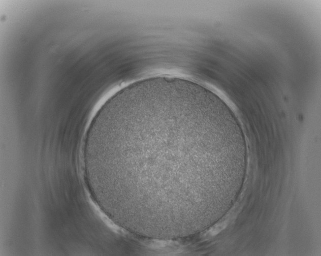 X0000080681056200612301420