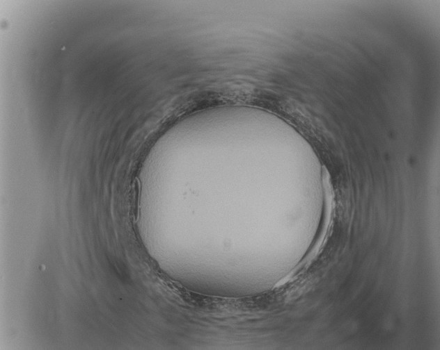 X0000080681057200612301419