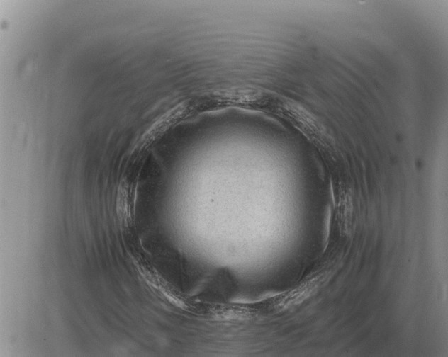 X0000080681058200612301419