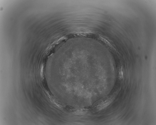 X0000080681060200612301419