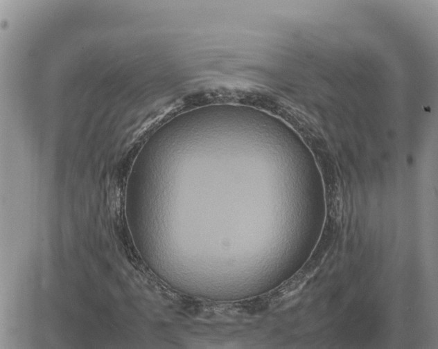 X0000080681061200612301419