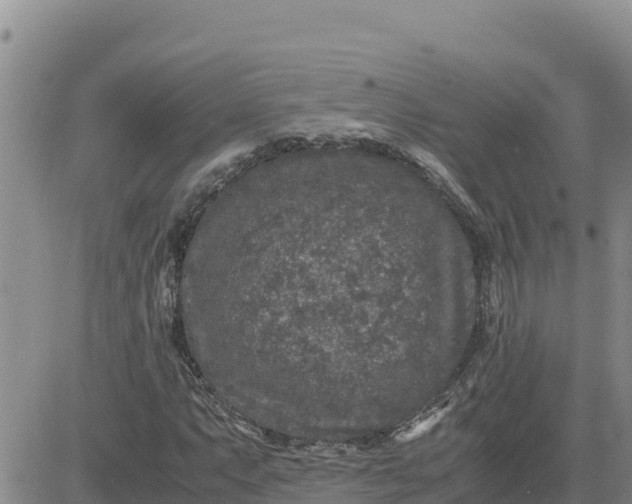 X0000080681063200612301419