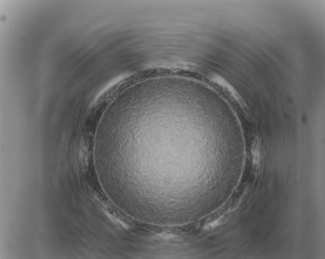 X0000080681064200612301419