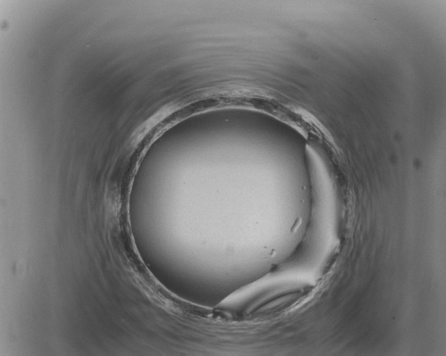 X0000080681065200612301419