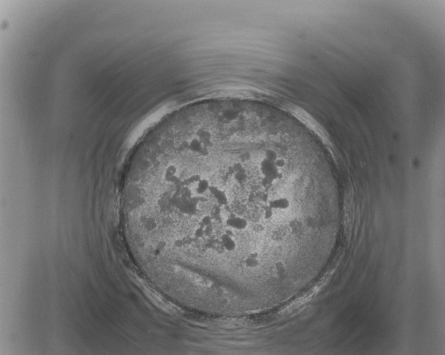 X0000080681067200612301419