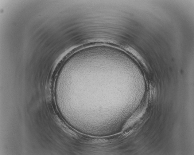 X0000080681068200612301419