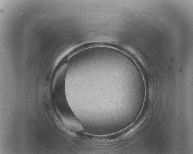 X0000080681069200612301419