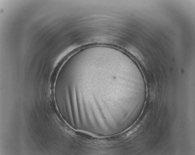 X0000080681070200612301419