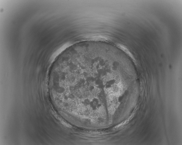 X0000080681071200612301419