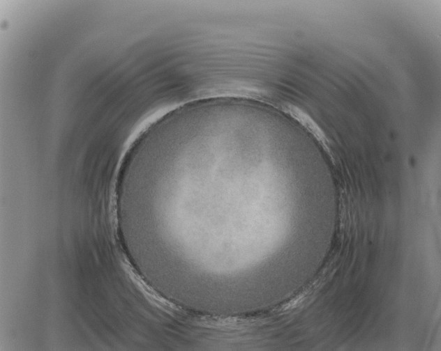 X0000080681072200612301419