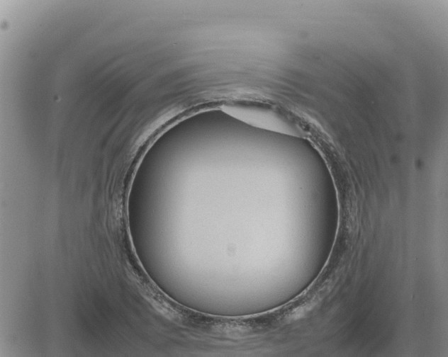 X0000080681073200612301419