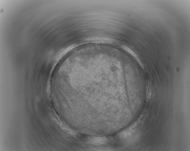 X0000080681074200612301419