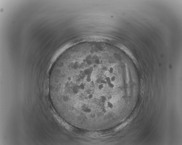 X0000080681075200612301419