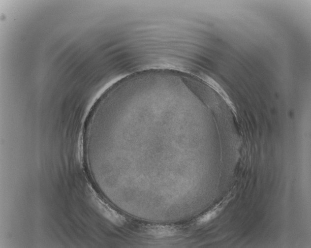 X0000080681076200612301419