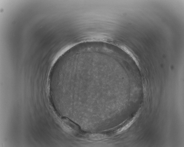 X0000080681077200612301419