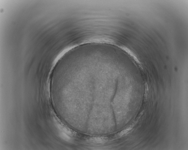 X0000080681078200612301419