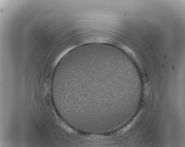 X0000080681081200612301419