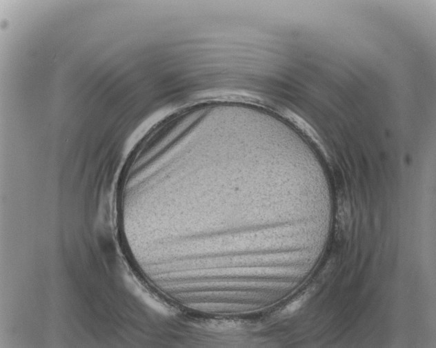 X0000080681082200612301419