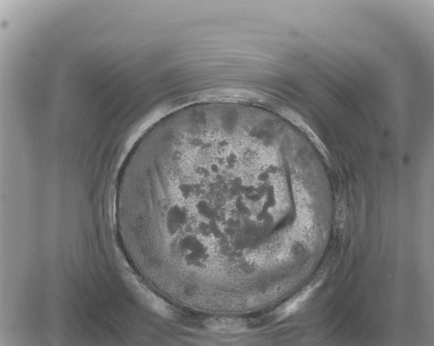 X0000080681083200612301419