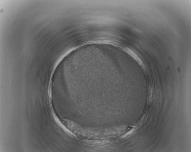 X0000080681084200612301419