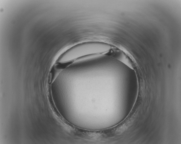 X0000080681085200612301419