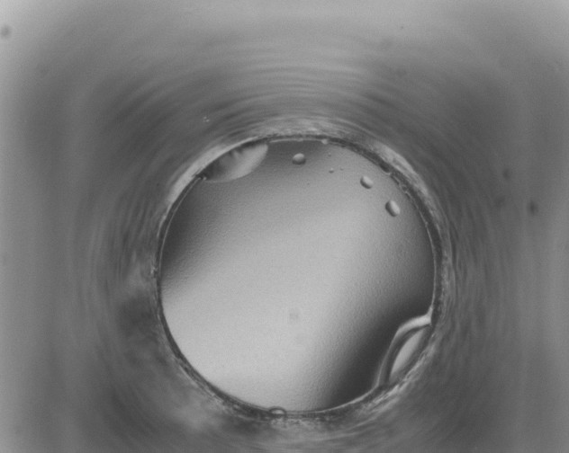 X0000080681089200612301419