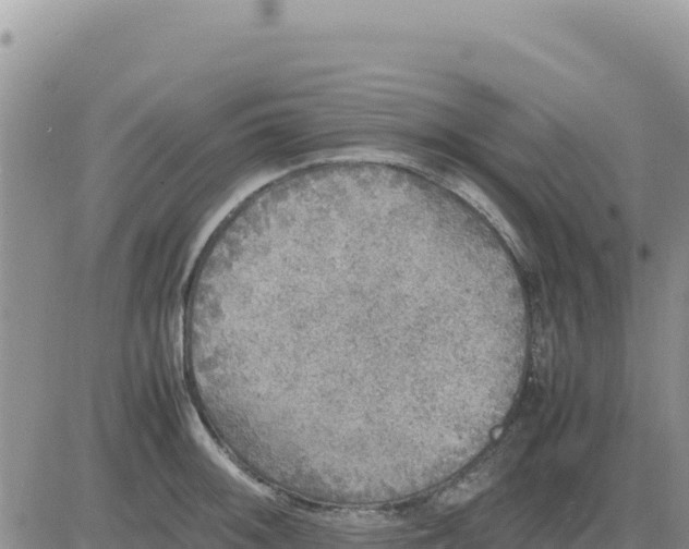 X0000080681092200612301419