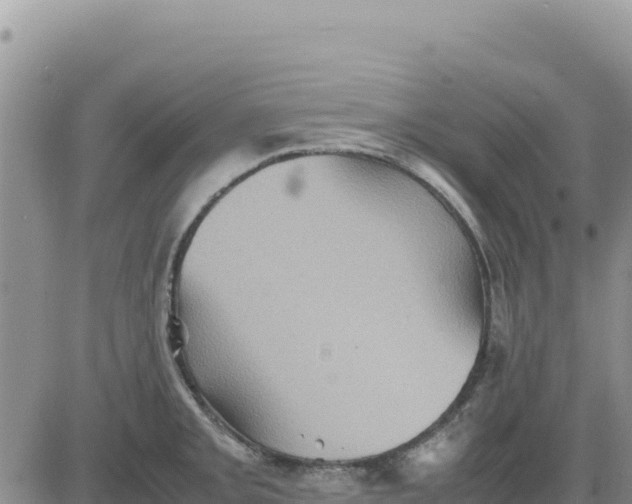 X0000080681093200612301419