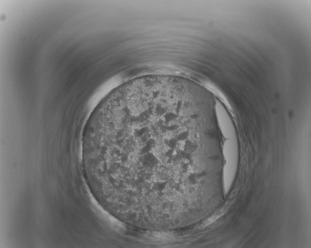 X0000080681095200612301419